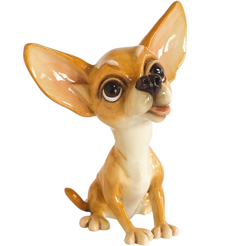 Pixie - Chihuahua