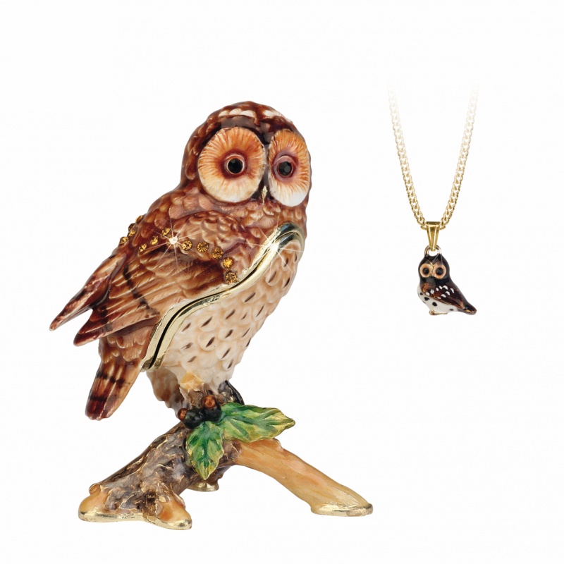Hidden Treasures - Tawny Owl