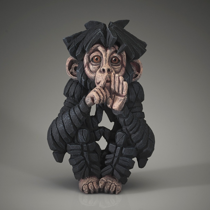 Baby Chimpanzee - Speak no Evil 3