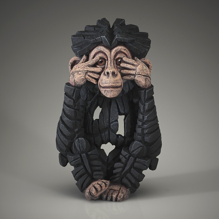 Baby Chimpanzee - See No Evil 3