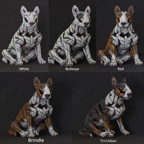 Edge Bull Terrier Colours