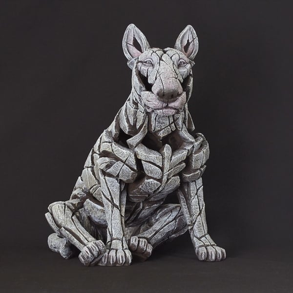 Edge Bull Terrier White