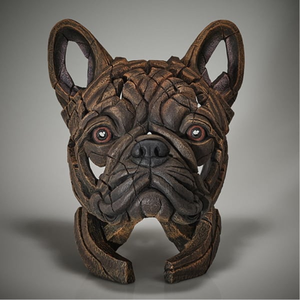 Edge French Bulldog Brindle 1