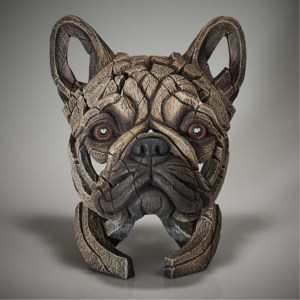 edge french bulldog fawn1