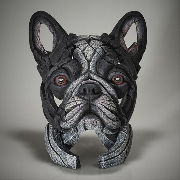 Edge French Bulldog Pied 1