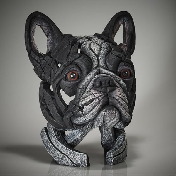 Edge French Bulldog Pied 3