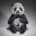 edge panda cub1