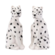 Looking Wild - Leopard Salt & Pepper Shakers