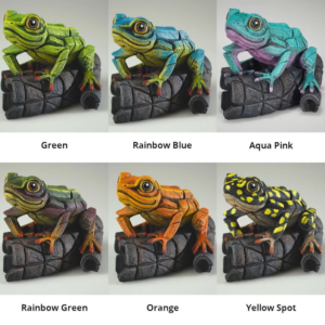 edge african tree frog colours